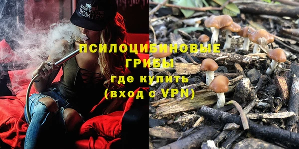 марки lsd Алзамай